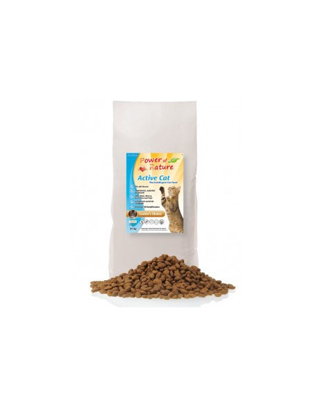 Power of Nature Active Cat Cookies Choice- kurczak i brązowy ryż 12 kg